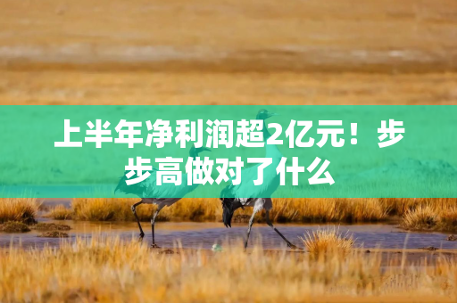 上半年净利润超2亿元！步步高做对了什么