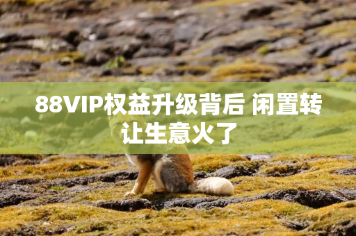 88VIP权益升级背后 闲置转让生意火了