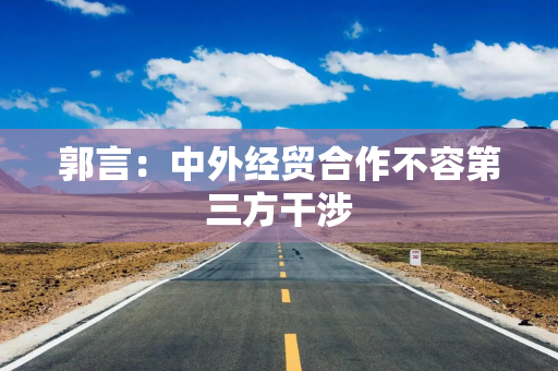 郭言：中外经贸合作不容第三方干涉