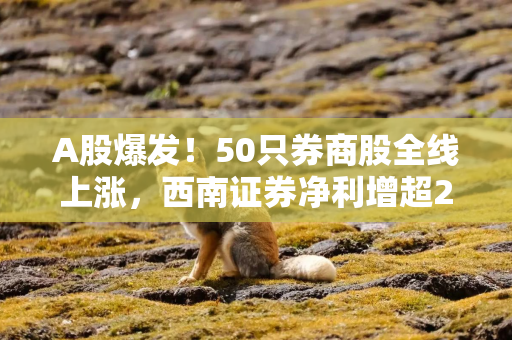 A股爆发！50只券商股全线上涨，西南证券净利增超2成，4家券商分红34亿