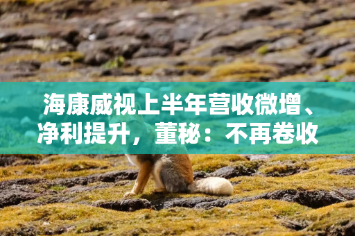 海康威视上半年营收微增、净利提升，董秘：不再卷收入，更关注利润