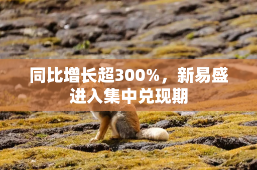 同比增长超300%，新易盛进入集中兑现期