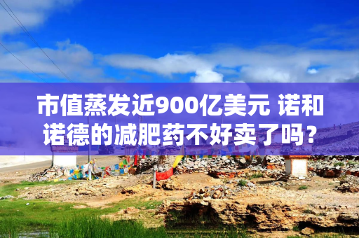 市值蒸发近900亿美元 诺和诺德的减肥药不好卖了吗？