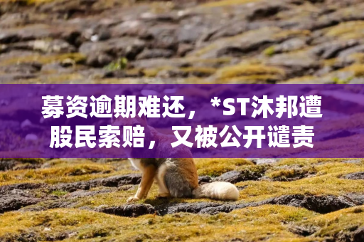 募资逾期难还，*ST沐邦遭股民索赔，又被公开谴责