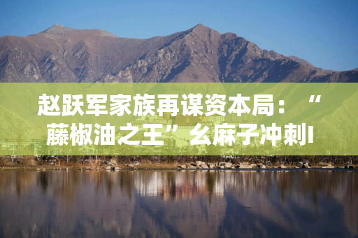 赵跃军家族再谋资本局：“藤椒油之王”幺麻子冲刺IPO，2024年净赚1.5亿元