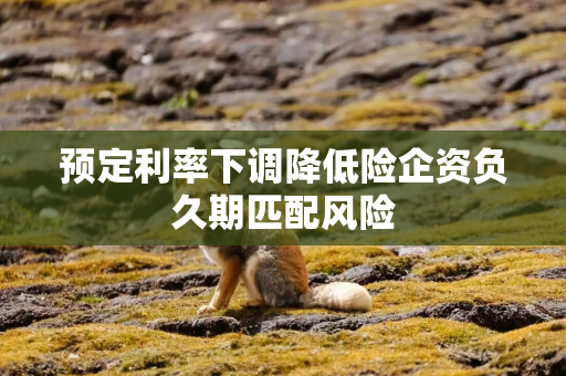 预定利率下调降低险企资负久期匹配风险