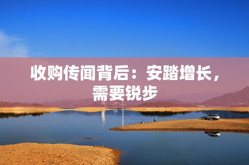 收购传闻背后：安踏增长，需要锐步