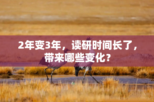 2年变3年，读研时间长了，带来哪些变化？