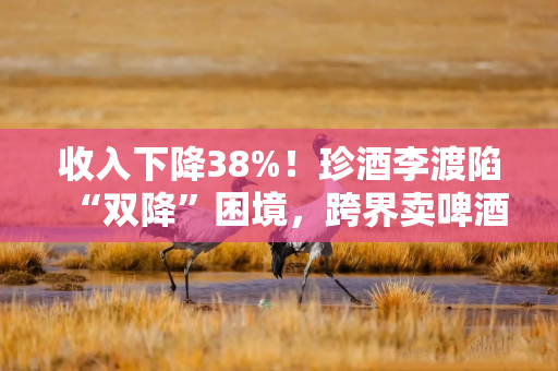 收入下降38%！珍酒李渡陷“双降”困境，跨界卖啤酒能否破局？