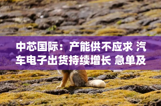 中芯国际：产能供不应求 汽车电子出货持续增长 急单及拉货情况至Q4预计减缓|直击业绩会