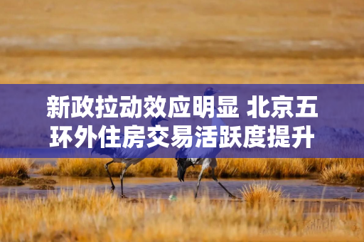 新政拉动效应明显 北京五环外住房交易活跃度提升