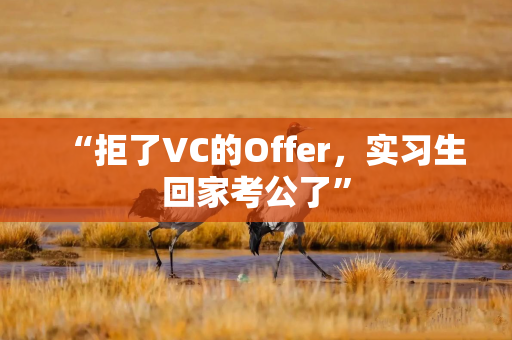 “拒了VC的Offer，实习生回家考公了”
