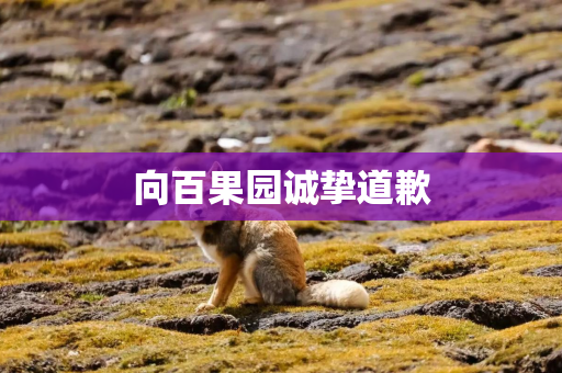 向百果园诚挚道歉