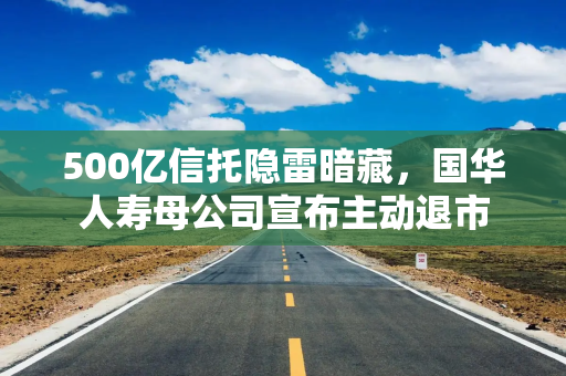 500亿信托隐雷暗藏，国华人寿母公司宣布主动退市