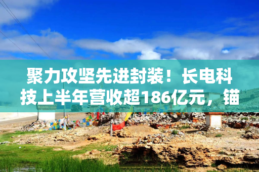 聚力攻坚先进封装！长电科技上半年营收超186亿元，锚定高附加值市场