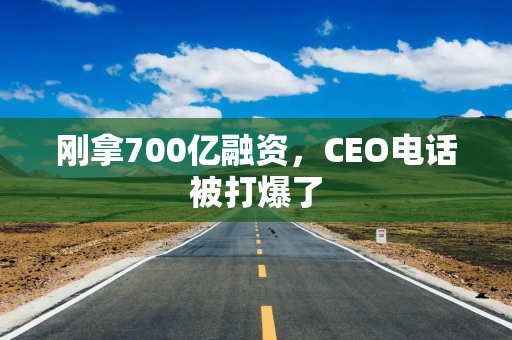 刚拿700亿融资，CEO电话被打爆了