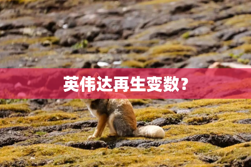 英伟达再生变数？