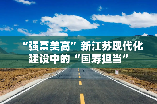 “强富美高”新江苏现代化建设中的“国寿担当”