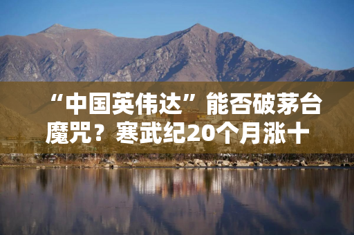 “中国英伟达”能否破茅台魔咒？寒武纪20个月涨十倍逼近“股王”