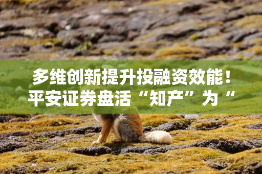多维创新提升投融资效能！平安证券盘活“知产”为“资产”