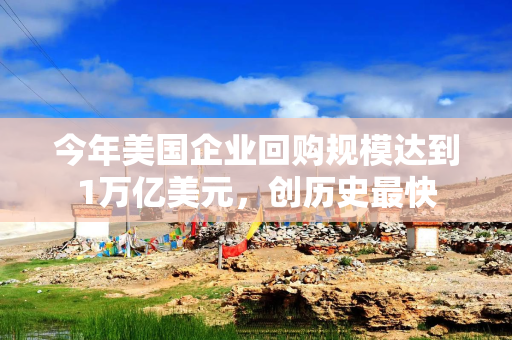 今年美国企业回购规模达到1万亿美元，创历史最快