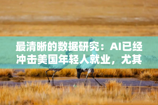 最清晰的数据研究：AI已经冲击美国年轻人就业，尤其是“读计算机科学的学生”