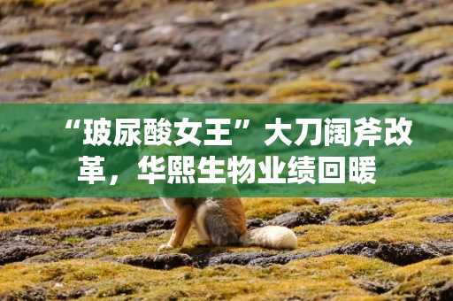 “玻尿酸女王”大刀阔斧改革，华熙生物业绩回暖