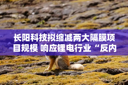 长阳科技拟缩减两大隔膜项目规模 响应锂电行业“反内卷”号召？