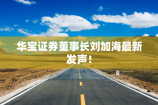 华宝证券董事长刘加海最新发声！