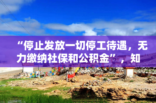 “停止发放一切停工待遇，无力缴纳社保和公积金”，知名公司董事长：已出售所有资产！曾在朋友圈发文卖公司股权