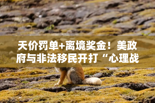 天价罚单+离境奖金！美政府与非法移民开打“心理战”