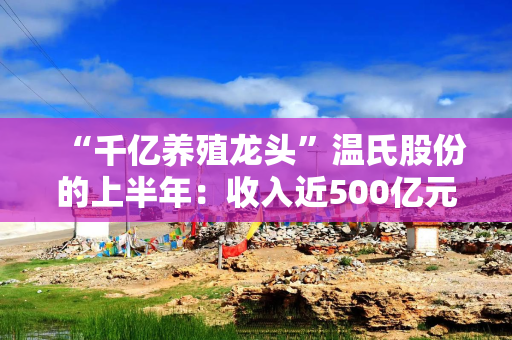 “千亿养殖龙头”温氏股份的上半年：收入近500亿元，猪鸡销量双增，养猪赚钱但养鸡亏损
