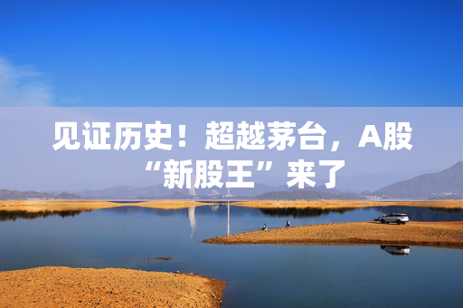 见证历史！超越茅台，A股“新股王”来了