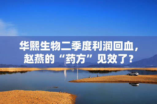 华熙生物二季度利润回血，赵燕的“药方”见效了？