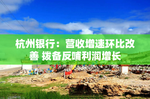 杭州银行：营收增速环比改善 拨备反哺利润增长