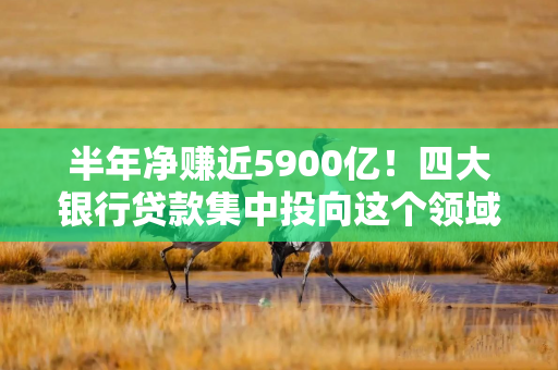半年净赚近5900亿！四大银行贷款集中投向这个领域