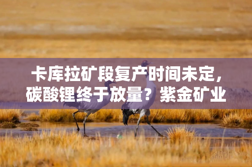 卡库拉矿段复产时间未定，碳酸锂终于放量？紫金矿业上半年盈利增速超50%