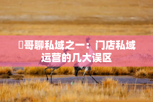 發哥聊私域之一：门店私域运营的几大误区
