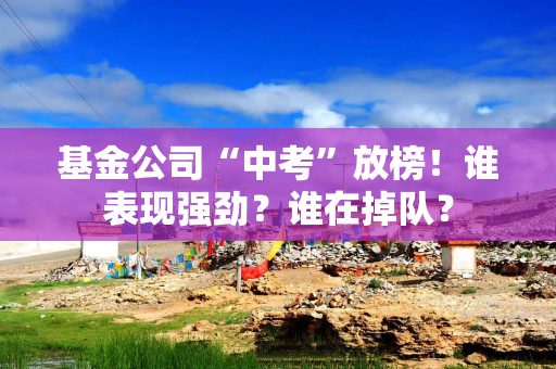 基金公司“中考”放榜！谁表现强劲？谁在掉队？