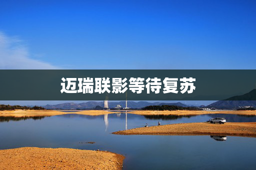 迈瑞联影等待复苏