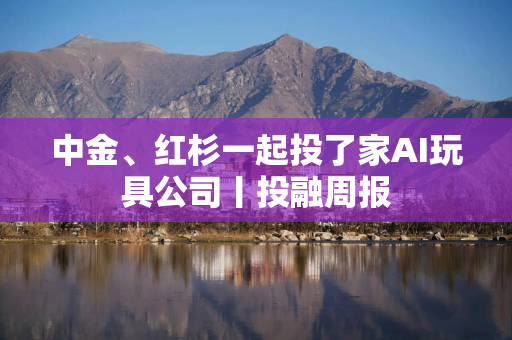 中金、红杉一起投了家AI玩具公司丨投融周报