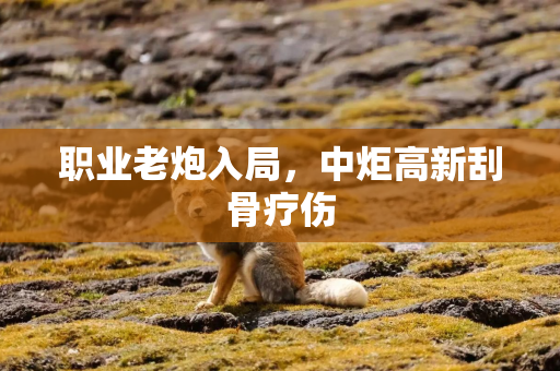 职业老炮入局，中炬高新刮骨疗伤