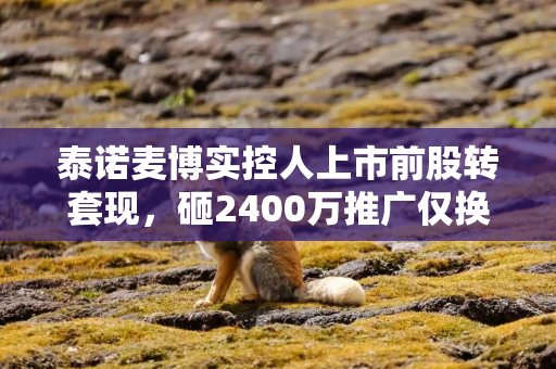 泰诺麦博实控人上市前股转套现，砸2400万推广仅换来17万营收