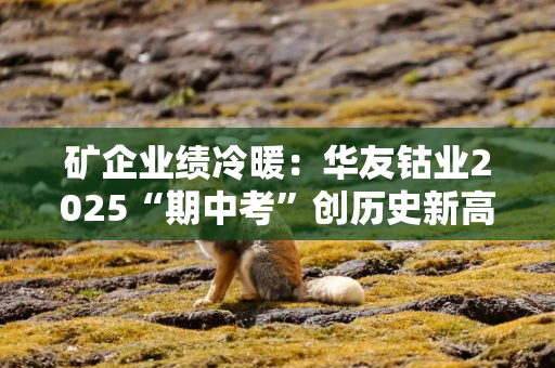 矿企业绩冷暖：华友钴业2025“期中考”创历史新高，股价年内飙升超50%