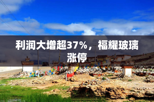 利润大增超37%，福耀玻璃涨停