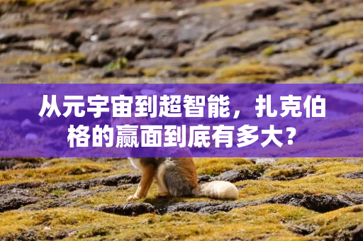 从元宇宙到超智能，扎克伯格的赢面到底有多大？