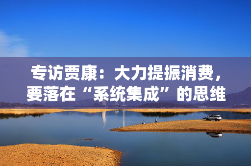 专访贾康：大力提振消费，要落在“系统集成”的思维框架上