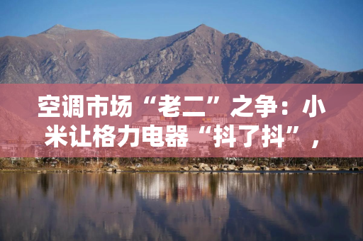 空调市场“老二”之争：小米让格力电器“抖了抖”，董明珠岂能坐视不管？