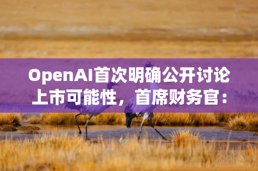 OpenAI首次明确公开讨论上市可能性，首席财务官：未来或出售AI基础设施服务
