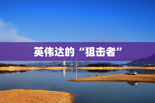 英伟达的“狙击者”